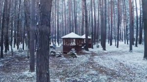 ТАКСИ аэропорт Минск - санаторий ПРАЛЕСКА