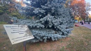 Сквер имени Владимира Мулявина